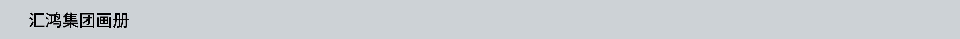 汇鸿集团画册