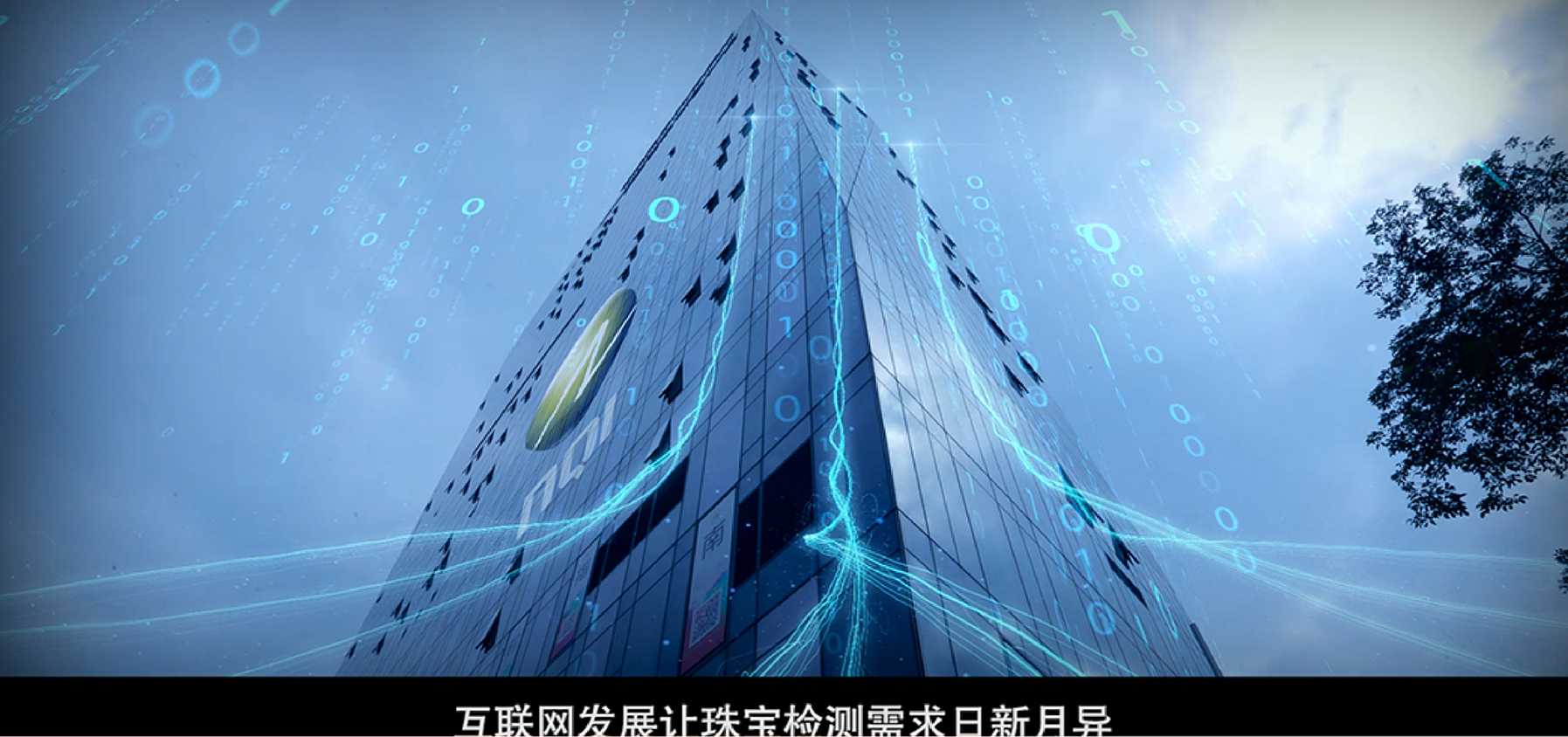 深圳国检-让价值生辉